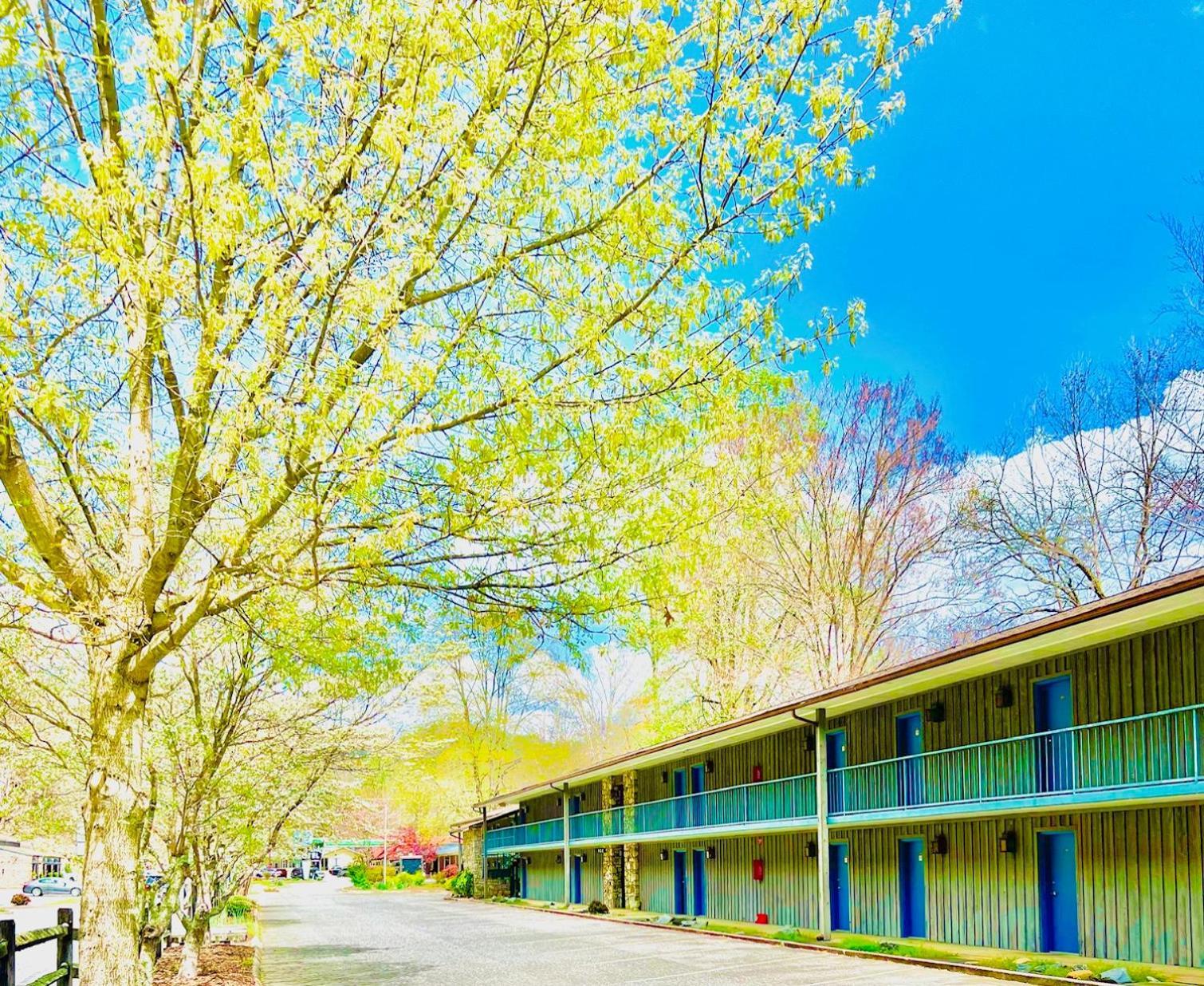 Newfound Lodge On The River Cherokee Exterior foto